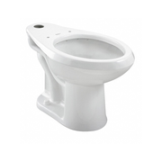 TOILET BOWL